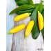 Крем для рук Banana