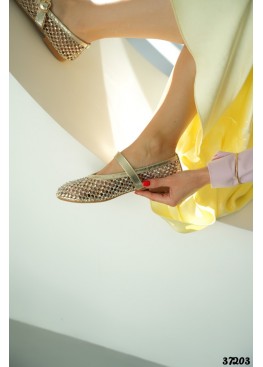 Акцентные балетки